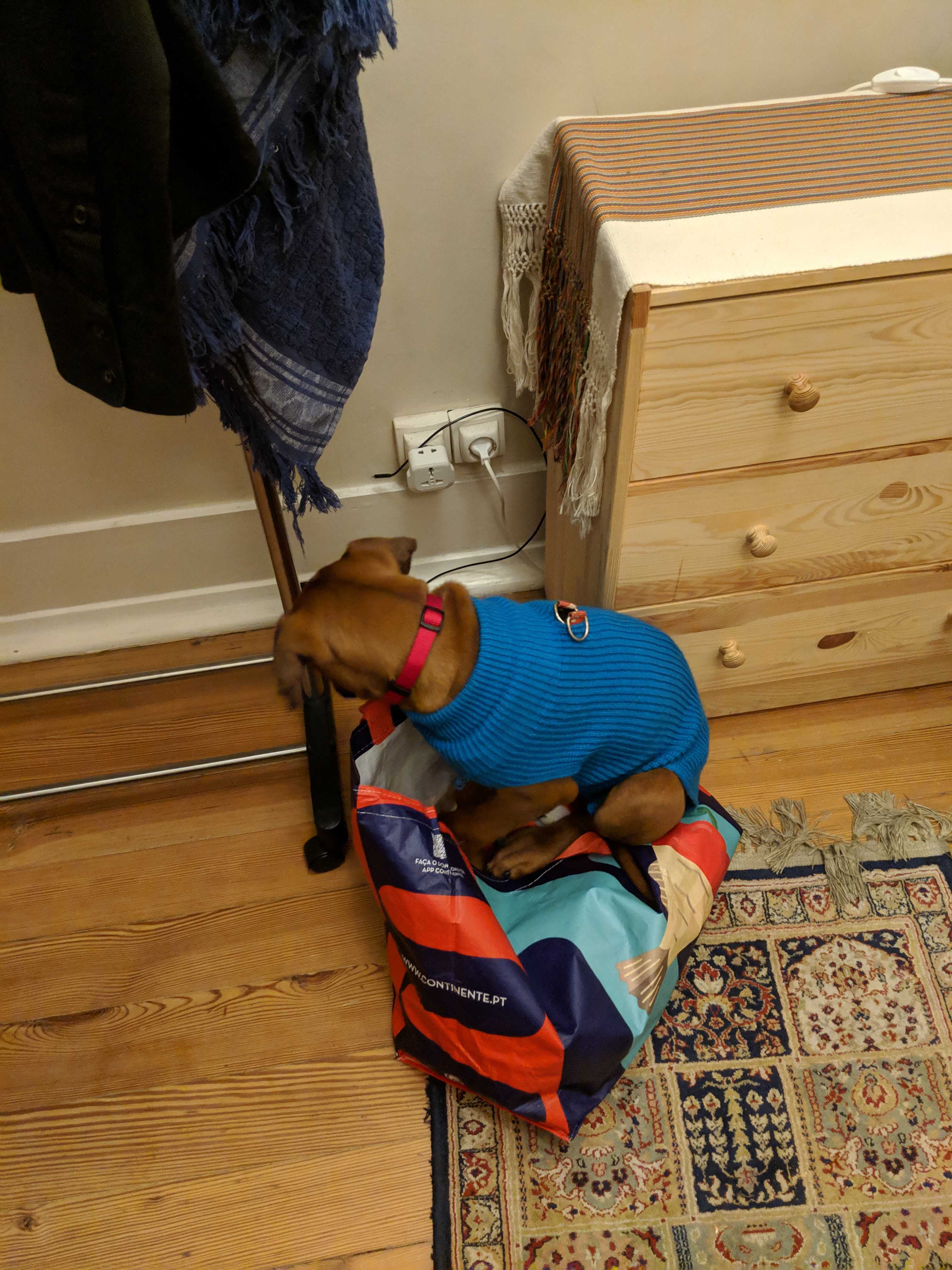 MVIMG_20190118_174029.jpg